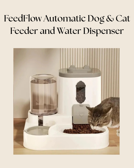 FeedFlow Automatic Dog & Cat Feeder